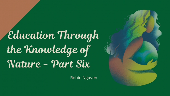 Education-Through-the-Knowledge-of-Nature-Part-Six