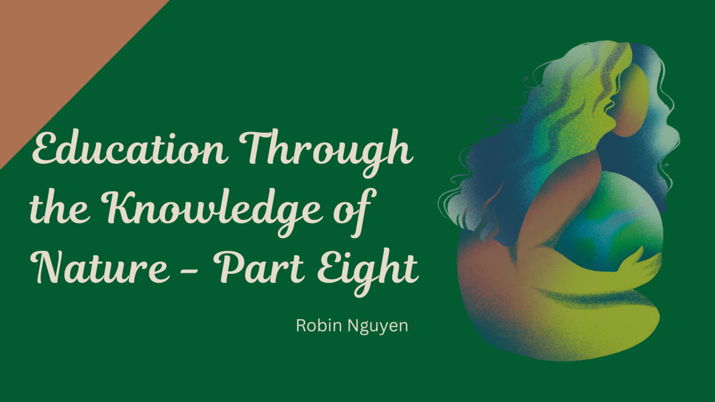 education-through-the-knowledge-of-nature-part-8