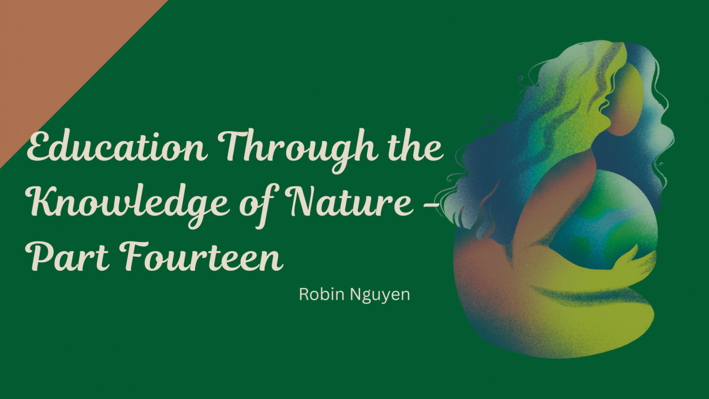 Education-Through-the-Knowledge-of-Nature-Part-Fourteen