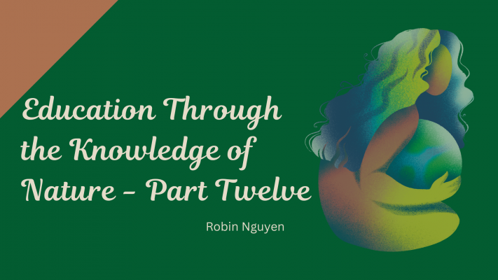 Education-through-the-knowledge-of-nature-part-12.