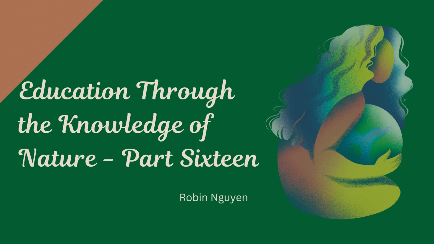 education-through-the-knowledge-of-nature-part-16