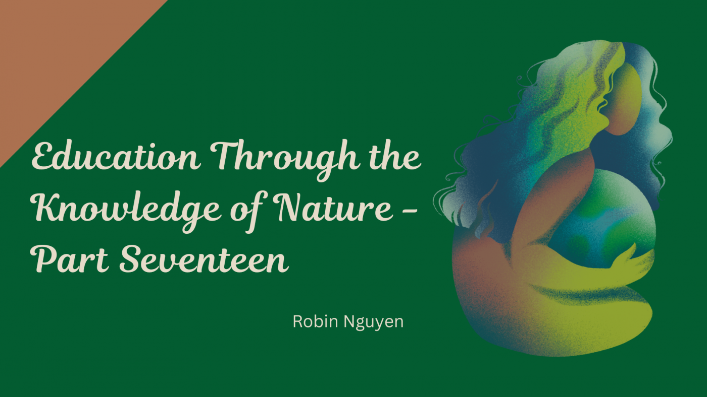 education through the knowledge of nature - part 17